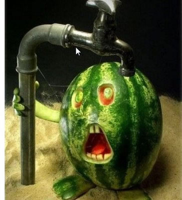 30 Food arts amusants