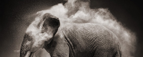 Nick Brandt