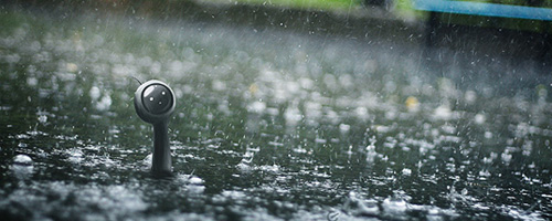 Portfolio Dmitry Maksimov Dmitry Maksimov portfolio