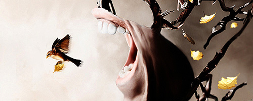 Portfolio de Richard Roberts