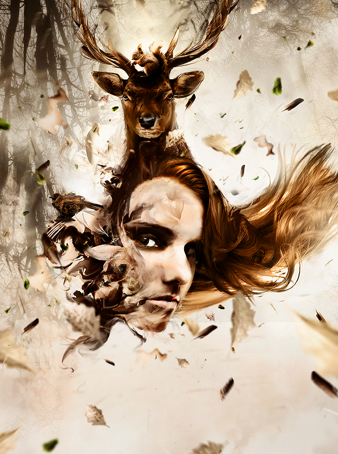 Portfolio de Richard Roberts