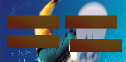 Astuce Photoshop #14 : plus de précision avec Ctrl Astuce Photoshop #14 : plus de précision avec Ctrl