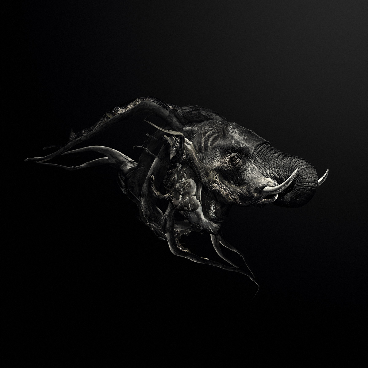 Depthcore – nouvelle exhibition Chapter XLIII : "Time" Depthcore – nouvelle exhibition Chapter XLIII : "Time"